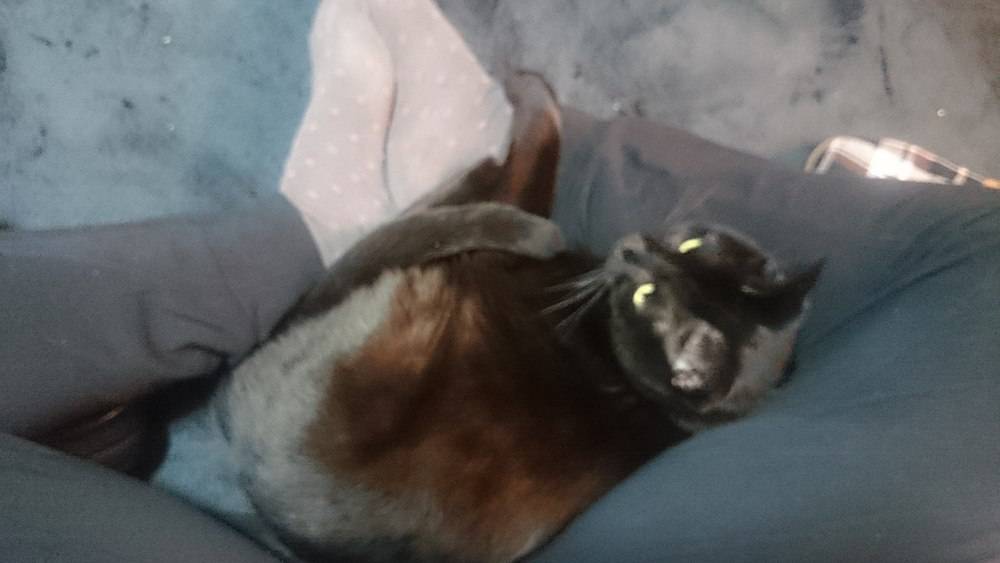 る