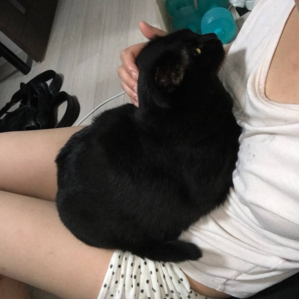 る